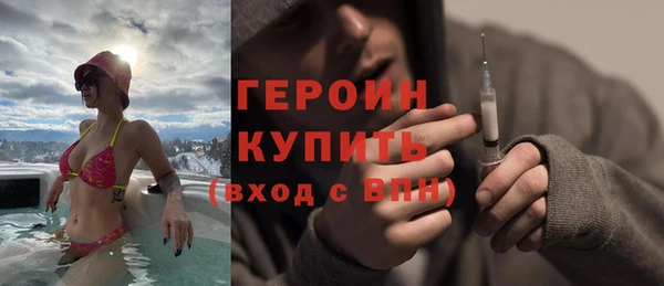 гидра Ельня