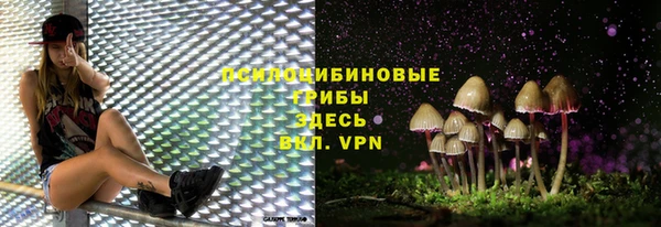 Альфа ПВП Балахна